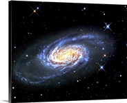 NGC 2903 is a barred spiral galaxy in the constellation of Leo