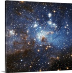 Swirls of gas and dust reside in the Large Magellanic Cloud