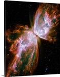 The Butterfly Nebula