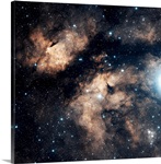The Butterfly Nebula