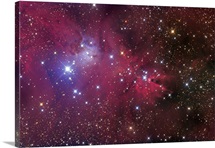 The Cone Nebula