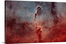 The Elephant Trunk Nebula