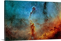The Elephant Trunk Nebula
