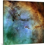 The Elephant Trunk Nebula