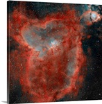 The Heart Nebula