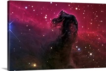 The Horsehead Nebula