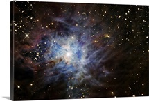 The Iris Nebula