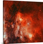 The Pelican Nebula
