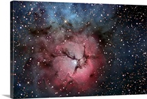 The Trifid Nebula