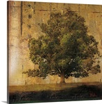Aged Tree I