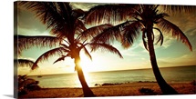 Bimini Sunset