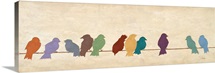 Birds Meeting