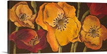 Dazzling Poppies II
