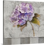 Hydrangeas II