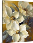 Magnolias Aglow at Sunset II
