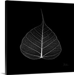 Minimalism in Black I