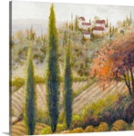 Tuscany Vineyard II