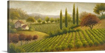 Vineyard In The Sun I