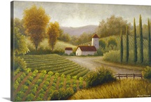 Vineyard In The Sun II