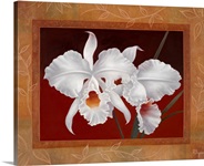 White Orchids