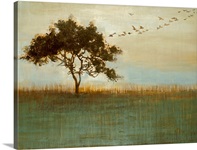 A Fleeting Glimpse