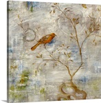 Oriole II