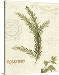 Aromatique II