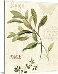 Aromatique IV