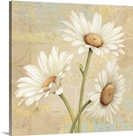 Beautiful Daisies II