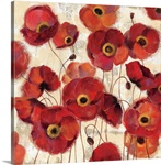 Bold Poppies