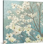 Dogwood Blossoms I