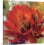 Fiery Dahlias II