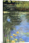 Garden Pond II