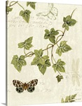 Ivies and Ferns II