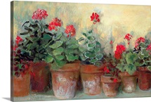 Kathleen's Geraniums