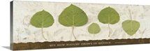 Nature Grows