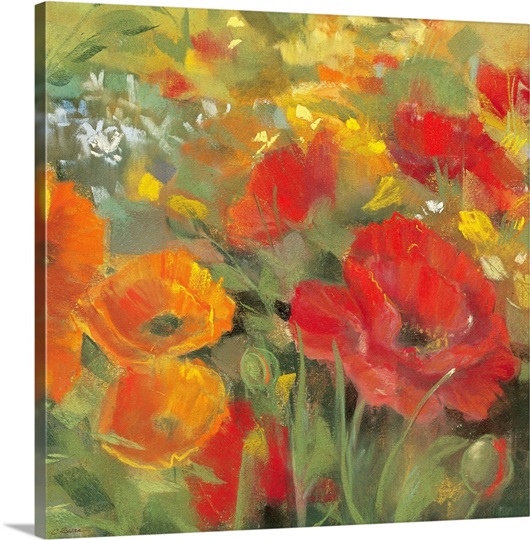 Oriental Poppy Field I