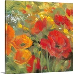 Oriental Poppy Field I