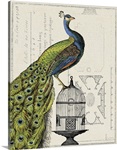 Peacock Birdcage I