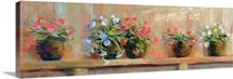 Petunias in Pots