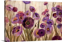 Pink and Purple Flowers
