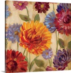 Rainbow Dahlias Crop III