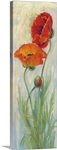 Rembrandt Poppies