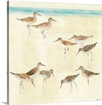 Sandpipers