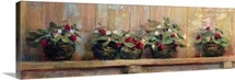 Strawberries in Pots