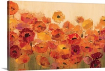 Summer Poppies