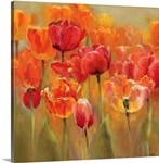 Tulips in the Midst III