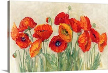 Vibrant Poppies