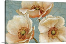 Windflower