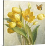 Yellow French Tulips